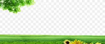 Download the perfect background images. Lawn Energy Grassland Nature Wallpaper Png 950x400px Lawn Computer Daytime Energy Family Download Free