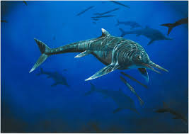 Ichthyosaur fore and hind limbs had been fully transformed into flippers. Rare Ichthyosaur Is Only Second Known Example