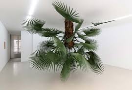 elisabetta benassi sovereign individual installation paris plant installation conceptual italian artist