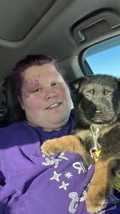 Introduction to a new German Shepherd puppy