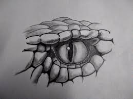 You never see anyone else other than arashikage ninja with a hexagram tattoo. Snake Eye Drawing Snake Eye Drawing Tattoo Design Pencil Dragon Eye Drawing Animal Sleeve Tattoo Snake Drawing