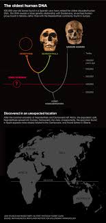 Conclusions Being Drawn By The Analysis Of Ancient Dna Dna Fingerprinting Techniques Now Have Many Uses Such As Crime Sce Human Dna Early Humans Oldest Human