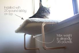 Amazing diy cat window perch. Sundays With Tabs The Cat Makeup And Beauty Blog Mascot Vol 294 Makeup And Beauty Blog