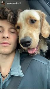 This is so cute Shawn with his dog 😍😍