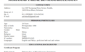 Bahasa melayu dan inggeris adalah wajib, dan anda juga boleh masukkan bahasa lain jika ada. Contoh Resume Mohon Kerja Resume For You Cute766