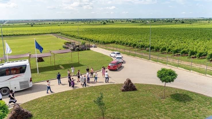 Crama Budureasca - Wine Trips Romania