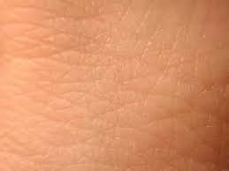 Why do people age, anyway? Is It Possible For Human Beings To Live More Than 150 Years Quora