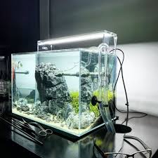 Siapkan komponen untuk membuat aquascape. Cara Membuat Aquascape Untuk Pemula Bujet Terbatas Bisa Tanpa Co2