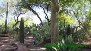 A trip around ethel m's chocolate factory is a delight for children, during the self guided tour they can see the processes and potions used to make their famous chocolates. Ethel M Botanical Cactus Garden Las Vegas Youtube