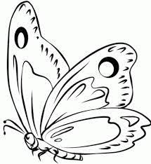 Sketsa kupu kupu yang indah sekali adi butterfly drawing drawings butterfly source: Sketsa Gambar Kupu Kupu Untuk Kolase Untuk Anak Tk Google Penelusuran Menggambar Kupu Kupu Kupu Kupu Halaman Mewarnai