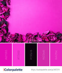 Usa.com provides easy to find states, metro areas, counties, cities, zip codes, and area codes information, including population, races, income, housing, school. 20753 Flower Color Palette Ideas In 2021 Icolorpalette