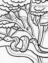 Free animal coloring pages , animal printables, animal colour in sheets. Snake In Tree Coloring Page For Kids Free Snake Printable Coloring Pages Online For Kids Coloringpages101 Com Coloring Pages For Kids