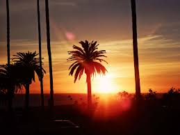Looking for the best wallpapers? 585508 California Los Angeles Palms Sun Sunset 4k Wallpaper Mocah Hd Wallpapers