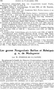 Image result for Nesogordonia