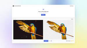 Gradients and some noise typically work, as long as the colors involved are. Background Remover Free Tool To Remove Background From Any Image