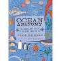 Ocean Anatomy: The Curious Parts & Pieces of the World Under the Sea from whalemuseum.org