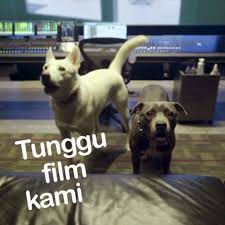They have ▼ or u as ears. June Dan Kopi Home Facebook