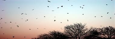 Quando Eu Aprendi O Que E Saudade Criar uma imagem de capa do facebook para o seu perfil ou página de evento é incrivelmente fácil. quando eu aprendi o que e saudade