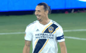 Gif bin is your daily source for funny gifs and funny animated pictures! Zlatanibrahimovic Gifs Get The Best Gif On Giphy
