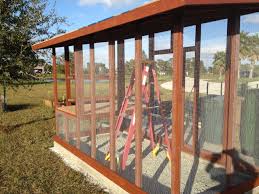 Image result for banda la kuku kienyeji