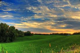 Rolling Hills Of Rural Minnesota 2015 Lisa Groene Rural Outdoor Golf Courses