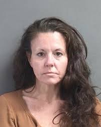 19-year-old ARIEL ESTEPA from ORANGE CITY was booked