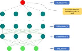 Some of the applications where deep learning is used in computer now we need to emulate the same behavior to computers. An Overview Of Deep Learning In Medical Imaging Focusing On Mri Sciencedirect