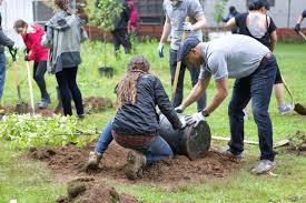 A unique album put together by some of scotland's most loved artists to raise funds for touring crew who have been affected by the devastating financial impact of the pandemic. The Fruit Tree Planting Foundation Office Photos Glassdoor