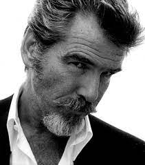 Check out zayn malikgoatee and other beard styles out. Pierce Brosnan Photo Pierce Brosnan Pierce Brosnan Famous Faces Celebrity Portraits