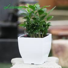Different types of plant pots get your pots or containers ready for planting cheap pots for plants/ decorative indoor flower pots clay Green Small Square Plastic Flower Pot Plant Pots Garden Pots Buy Square Plastic Flower Pot Color Plastic Flower Pots Cheap Small Flower Pots Product On Alibaba Com