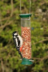 Ensure the birds have a safe place to eat. How To Attract Wild Birds To Your Garden Vine House Farm