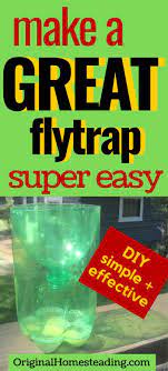 Simple Homemade Fly Trap Diy Project That Works Homemade Fly Traps Fly Traps Diy Fly Trap