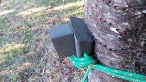 Maybe you would like to learn more about one of these? Homemade Tree Stands Steps Archery Talk Forum