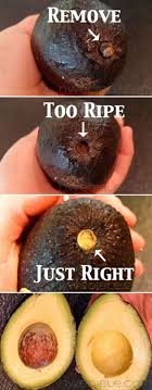 Avocados reifen nur, wenn sie geerntet wurden, nicht direkt am baum. Trick Damit Man Sieht Wann Die Avocado Reif Ist Entferne Das Endstuck Der Avocado Und Wenn Es Sich Grun Verfarbt Hat Ist Die Avocado Reif Foto Veroffentlicht Von Hobbykoechin Auf Spaaz De