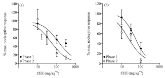 Image result for Capparis erythrocarpos