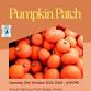 Pumpkin Patch event image