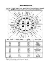 Codon Worksheet Doc Codon Worksheet Use The Circular Codon