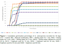 Image result for Amblygonocarpus andongensis
