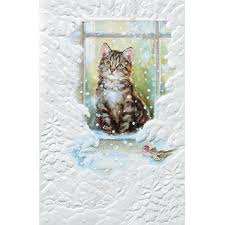 Siskiyou Humane Society Holiday Cards Pet Christmas Cards Cat Christmas Cards Humane Society