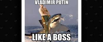 Putin memes are all over the internet and we have picked out the best putin memes for you to look vladimir putin is a russian government official who filled in as the second leader of the russian. The Best Putin Memes Latinamerican Post