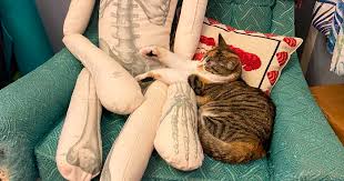 Jul 13, 2017 · finally, be aware that although cardiomyopathy is the most common cause of sudden death in cats, it is not the only one. Woman Finds Out And Posts Pictures Of How Cats Would React If You Suddenly Died At Home Bored Panda