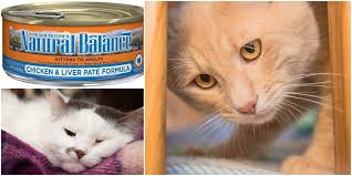 Natural balance cat food recall. Canned Cat Food Recalled For Potentially Deadly Side Effects Cattitude Daily