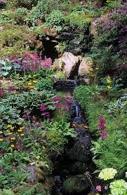 Bodnant Gardens Conwy Wales Uk Luxuriant Planting Around A Small Stream Hostas Candelabra Primula Ferns And Beautiful Gardens Plants Gorgeous Gardens