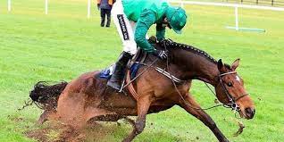 Câţi cai putere are un cal? De Ce Caii Cu Picioarele Rupte Sunt UciÈi De CÄtre StÄpani