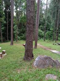 Tanarimba janda baik, bukit tinggi, malaysia. Berkongsi Cetusan Rasa