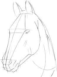 Pin On Drawings