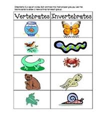 Marine invertebrate worksheet docs marine invertebrates worksheets teacher worksheets activity one introduction to marine invertebrates worksheet kk description. Work Sheet On Introduction To Inverta Brate Esl Self Introduction Lesson Plan Esl Agogo Fourth Graders Who Have Learnt About Invertebrates Can Use This Printable Science Worksheet To Learn