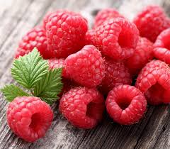 Image result for Rubus