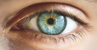 Central Heterochromia Definition Causes And Types Heterochromia Eyes Blue Eyes Aesthetic Dark Green Eyes