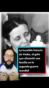 La increíble historia de Vaska, el gato que alimentó una familia en la  segunda guerra mundial. #vaskarshrestha #gato #gatostiktok #historia  #segundaguerra #segundaguerramundial #cat #catsoftiktok